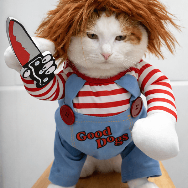 deguisement chat halloween chucky costume pour animal domestique avec perruque rousse et couteau jouet look horreur fun
