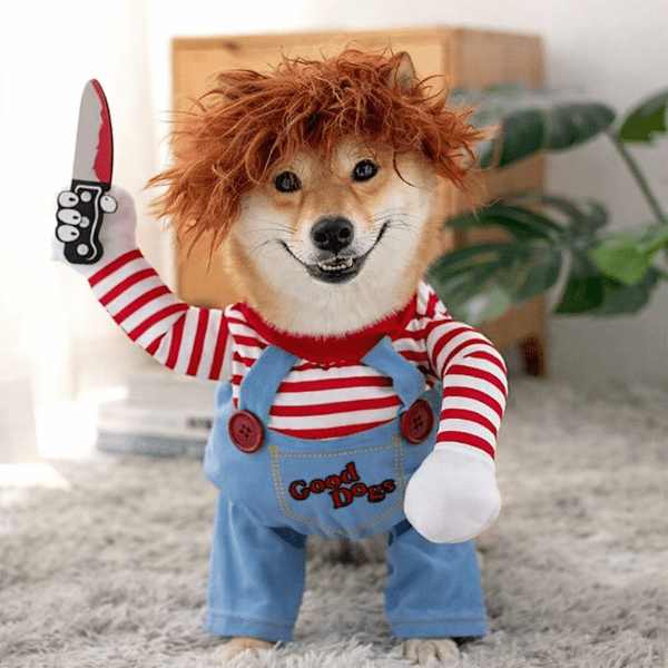 deguisement chien halloween style chucky costume drole pour chien shiba avec couteau jouet et salopette good dogs