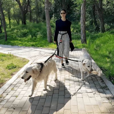 Double laisse pour chien | Anti - choc™ - Chien store