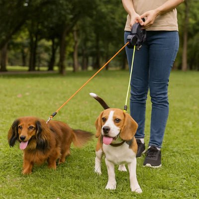 double laisse pour chien avec lampe LED intégrée pour promenade nocturne DuoGlow™