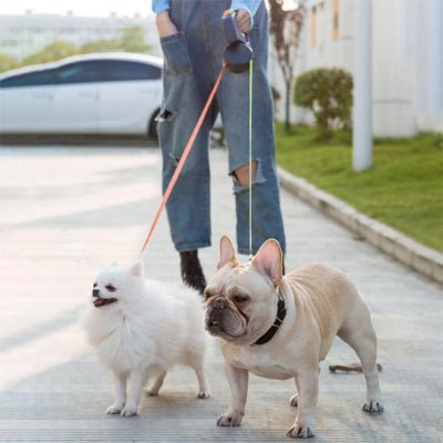 double laisse pour chien rétractable avec poignée ergonomique DuoGlow™