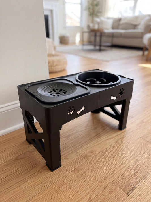 Gamelle surélevée réglable noire avec bol anti-glouton et bol d'eau, posée sur un parquet clair