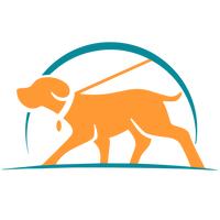 chien-store-magasin-chien