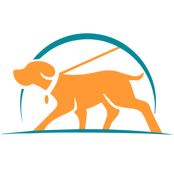 chien-store-magasin-chien