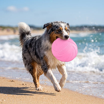 Frisbee pour chien - berger australien qui se promène sur la plage avec un frisbee rose