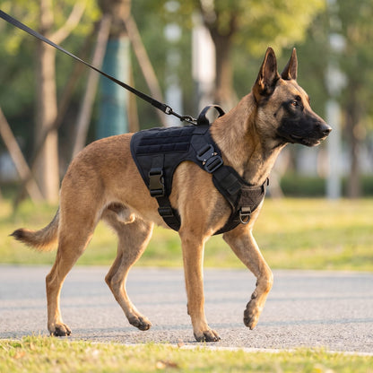 Harnais anti traction chien ControlMax noir, collage de gros plans sur les boucles et la poignée