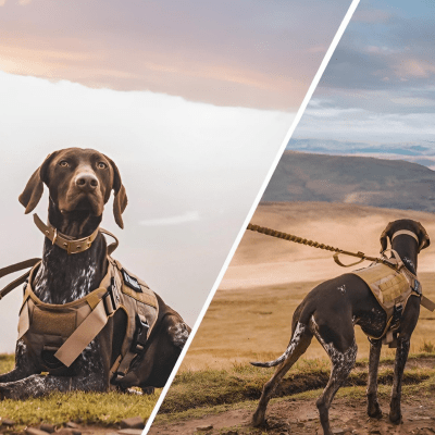 Harnais anti traction chien ergonomique conçu pour le confort et la sécurité – ControlMax™