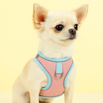 harnais anti traction rose et bleu réglable pour chien énergique conçu pour éviter les tiraillements – Promeneo