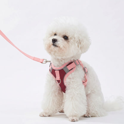 Bichon frisé assis portant le harnais anti traction rouge et rose Proménéo avec sa laisse assortie