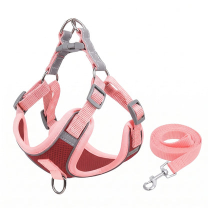 Harnais anti traction rouge et rose avec laisse assortie incluse – Proménéo