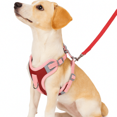 harnais anti traction rouge et rose pour chien avec design ergonomique et anneau de traction solide – Promeneo