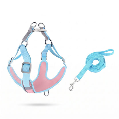 Harnais anti traction bleu et rose avec laisse assortie incluse – Proménéo