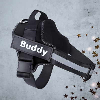 Harnais Chien Anti Traction | Tira™ - Chien store