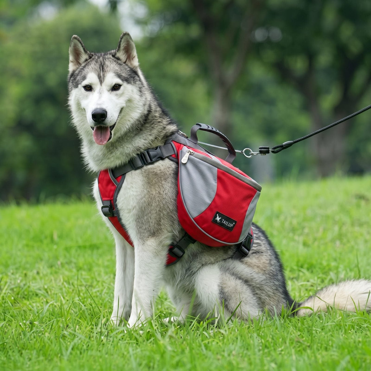 Harnais chien sac à dos DogTask orange, vue produit sur fond blanc