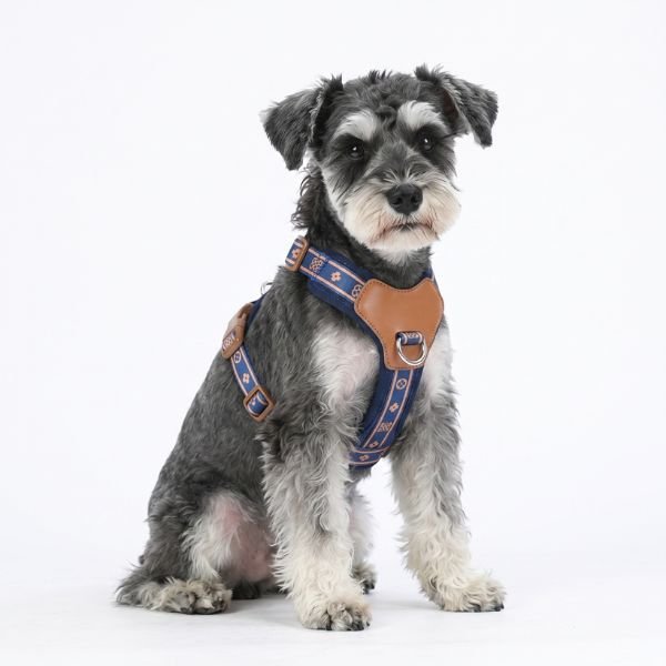 Harnais Chien Élégance Confort