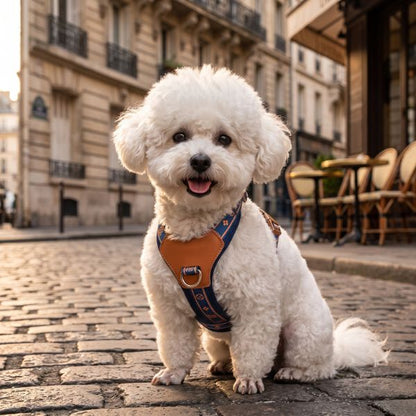 Harnais Chien Élégance Confort