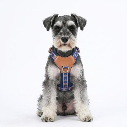 Harnais Chien Élégance Confort