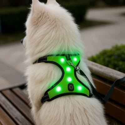 harnais chien LED vert vue arrière en extérieur – NightPup™