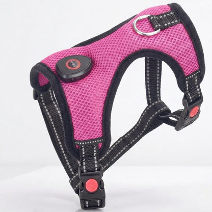Harnais chien lumineux NightPup bleu, vue produit de face