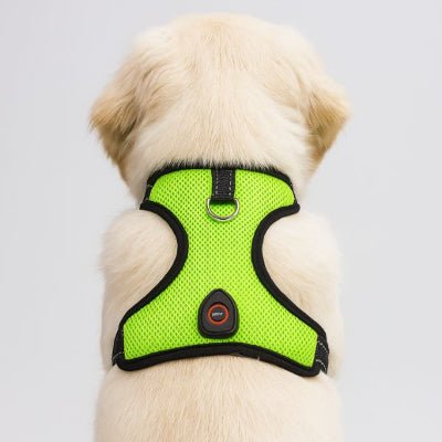 harnais chien vert en gros plan vu de dos – NightPup™