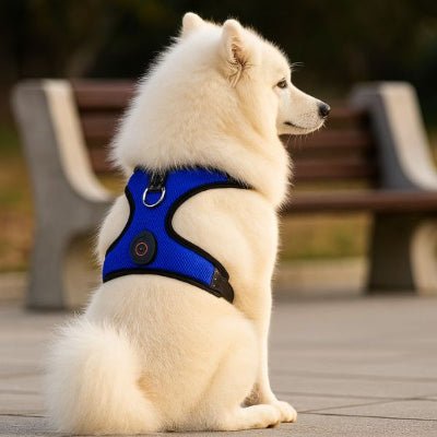 harnais chien bleu assis dans un parc – NightPup™