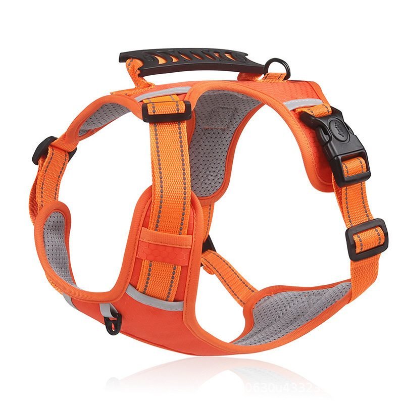 Harnais chien réfléchissant NightSafe orange, vue produit sur fond blanc