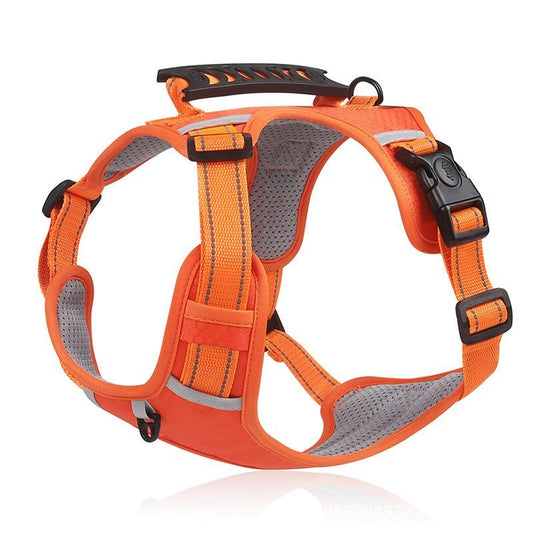 Harnais chien réfléchissant NightSafe orange, vue produit sur fond blanc