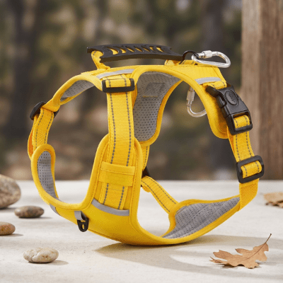 Harnais chien réfléchissant jaune avec poignée ergonomique et mousqueton de sécurité posé en extérieur.