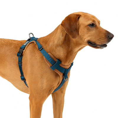 harnais en y pour chien modèle ajustable bleu avec détails en cuir assurant confort et contrôle lors des promenades -HiDREAM™