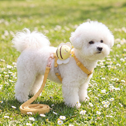 Bichon blanc sur une pelouse fleurie de pâquerettes, portant le harnais petit chien abeille 3D jaune et sa laisse
