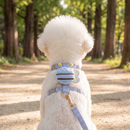 Bichon blanc vu de dos dans un parc, harnais petit chien abeille 3D bleu avec l'abeille en peluche sur le dos et la laisse