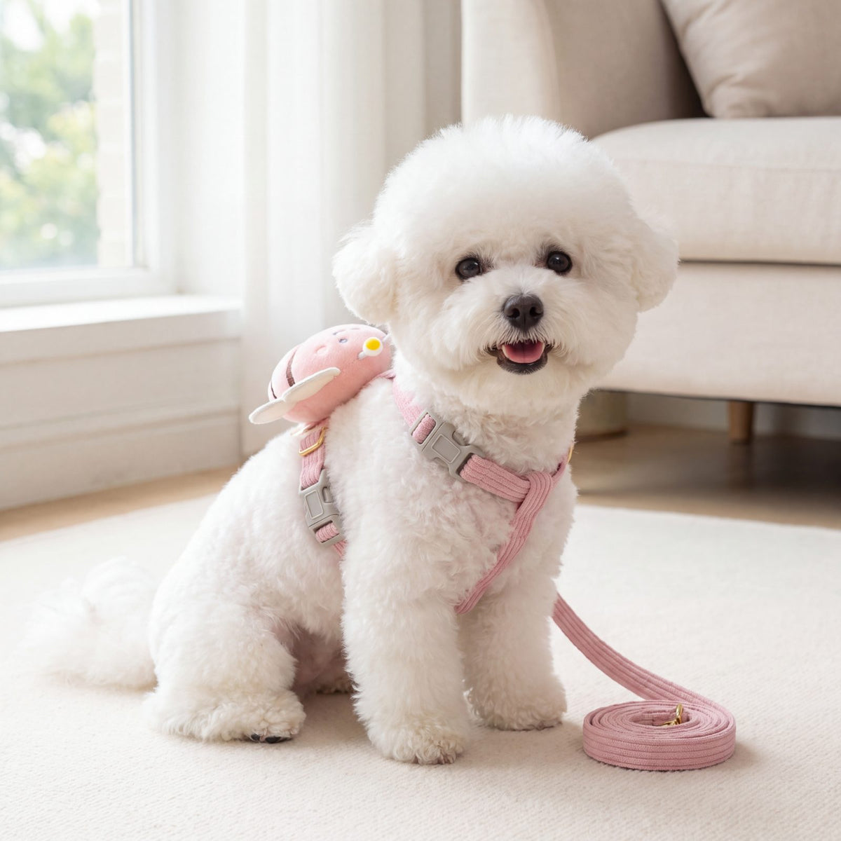 Bichon blanc assis de face portant le harnais abeille 3D rose avec sa laisse assortie dans un salon lumineux