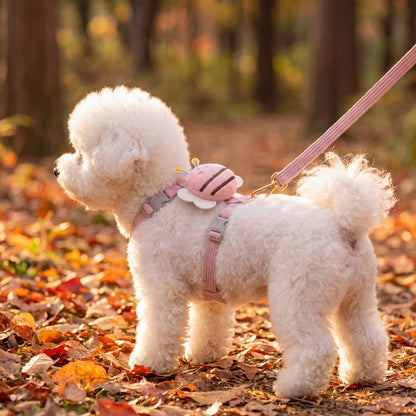 Bichon blanc en balade dans la forêt d'automne avec le harnais petit chien abeille 3D rose et sa laisse