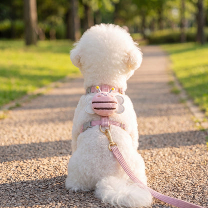 Bichon blanc vu de dos dans un parc avec le harnais abeille 3D rose, l'abeille en peluche, l'anneau doré et la laisse