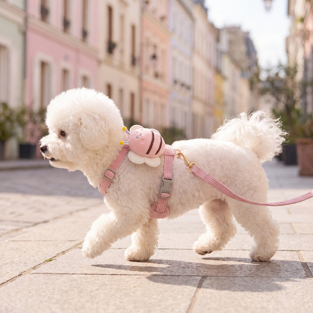 Bichon blanc au trot de profil dans une rue ensoleillée avec le harnais petit chien abeille 3D rose et sa laisse