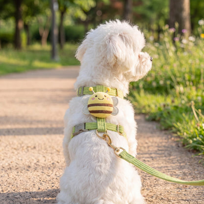 Bichon maltais vu de dos sur un chemin de parc, harnais vert pomme avec abeille 3D, anneau doré et laisse assortie