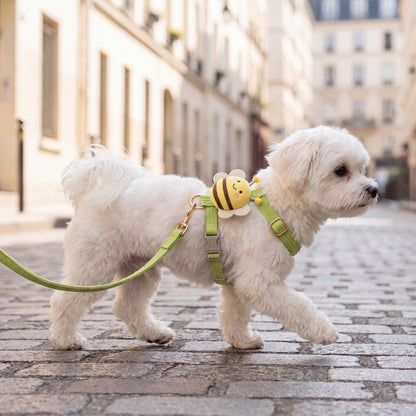 Bichon maltais qui trotte de profil dans une rue pavée avec un harnais abeille 3D vert pomme et sa laisse