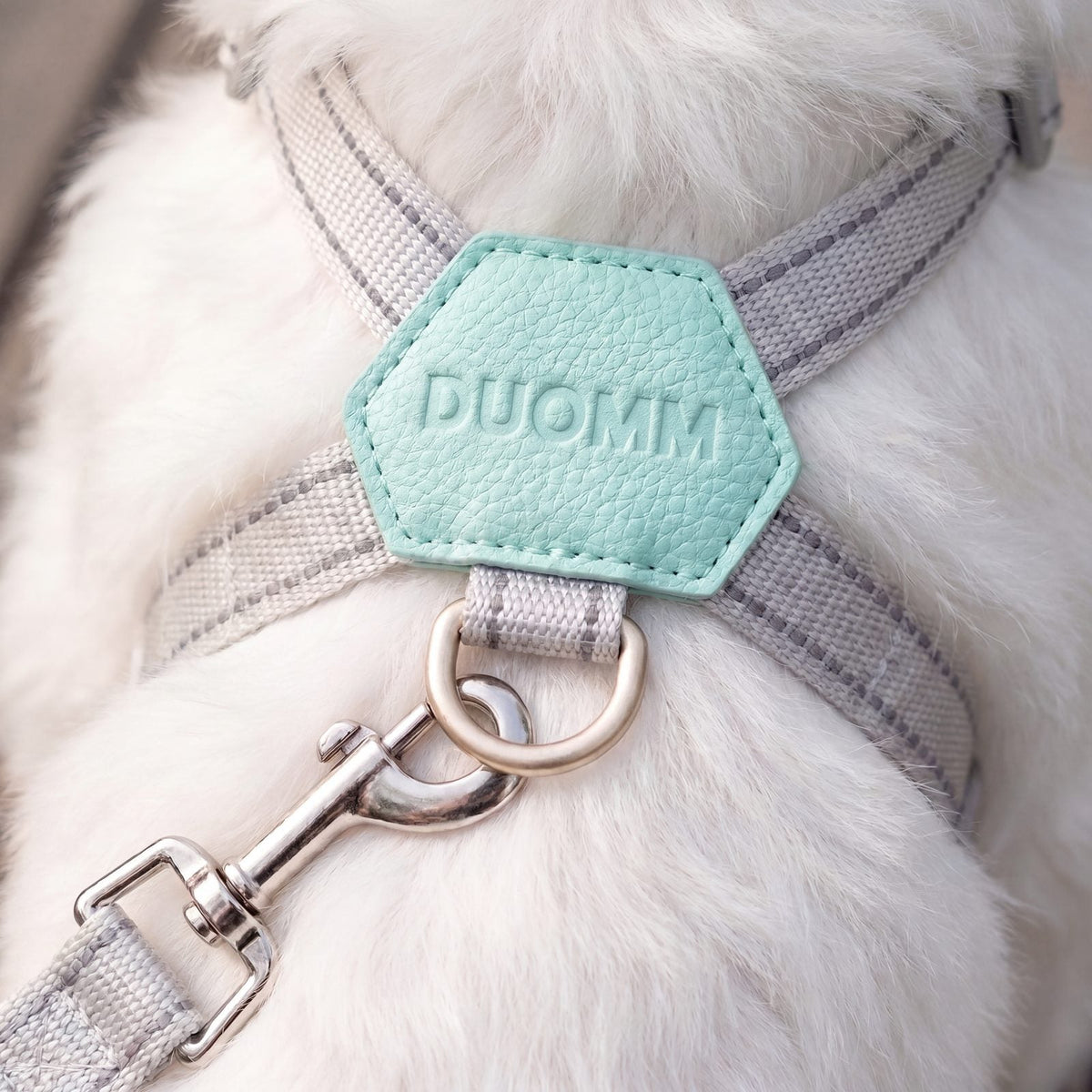 Gros plan sur le patch hexagonal vert menthe et l'anneau en D du harnais, avec le mousqueton de la laisse grise sur le dos d'un bichon blanc