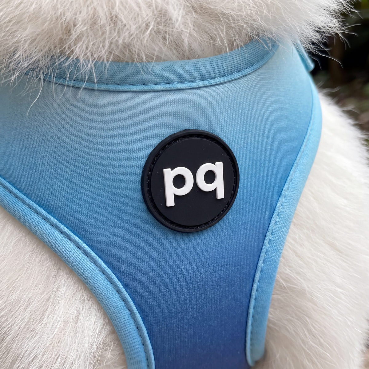 Gros plan sur le tissu dégradé du bleu ciel au bleu marine et le badge du harnais pour petit chien