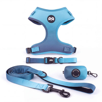 Harnais, collier, laisse et distributeur de sacs à déjections assortis pour petit chien, dégradé du bleu ciel au bleu marine, présentés seuls sur fond blanc