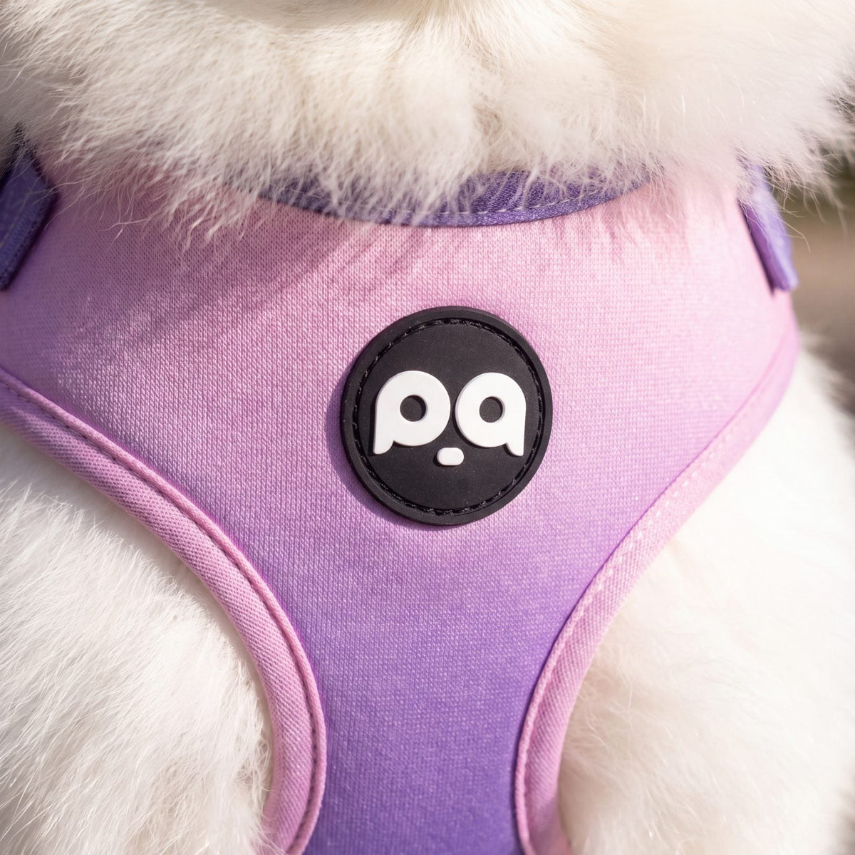 Gros plan sur le tissu dégradé du rose au violet et le badge du harnais pour petit chien