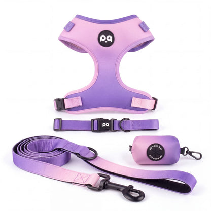 Harnais, collier, laisse et distributeur de sacs à déjections assortis pour petit chien, dégradé du rose au violet, présentés seuls sur fond blanc