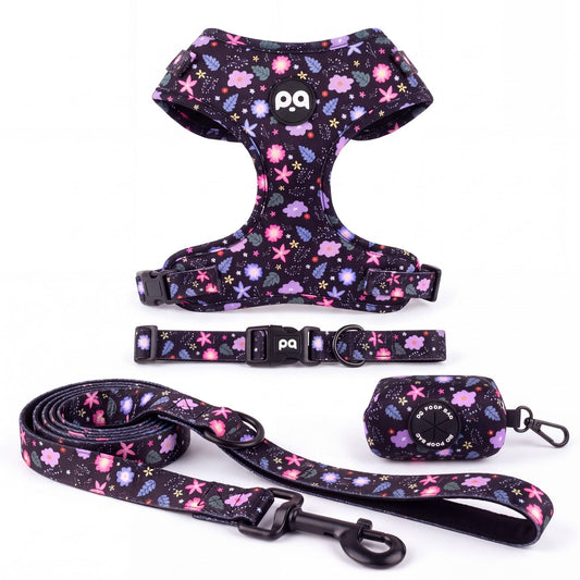 Harnais, collier, laisse et distributeur de sacs à déjections assortis pour petit chien, imprimé floral multicolore sur fond noir, présentés seuls sur fond blanc