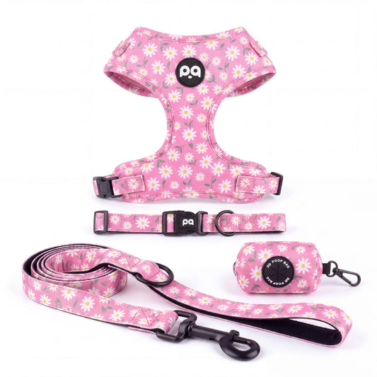 Harnais, collier, laisse et distributeur de sacs à déjections assortis pour petit chien, imprimé marguerites blanches sur fond rose, présentés seuls sur fond blanc