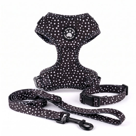 Ensemble harnais, collier et laisse pour petit chien imprimé pois noir, packshot sur fond blanc
