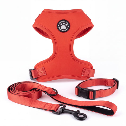 Harnais, collier et laisse assortis rouge vif pour petit chien, présentés seuls sur fond blanc