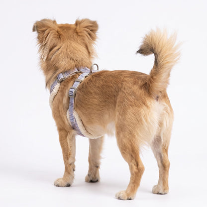 Chien de profil portant le harnais petit chien tartan bordeaux, zoom sur l'anneau d'attache métallique