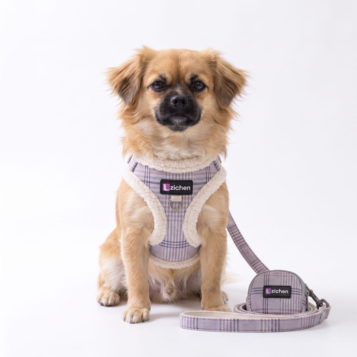 Chien vu de dos portant le harnais petit chien tartan coloris lavande, fond studio blanc