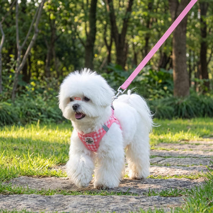 Petit chien en promenade en extérieur avec le harnais petit chien à carreaux rose et sa laisse