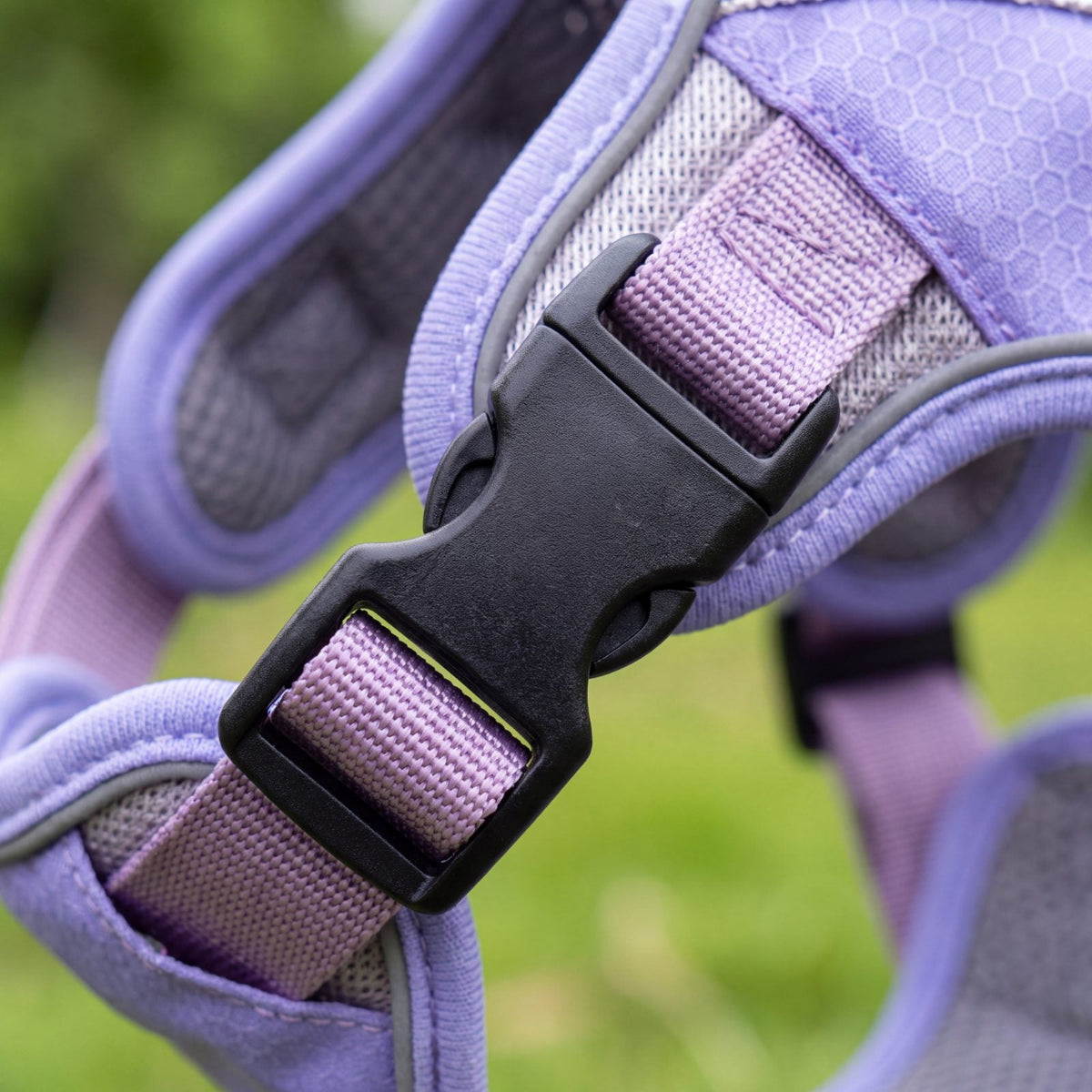 Gros plan sur la boucle à clip noire et la sangle réglable lilas du harnais rafraîchissant violet